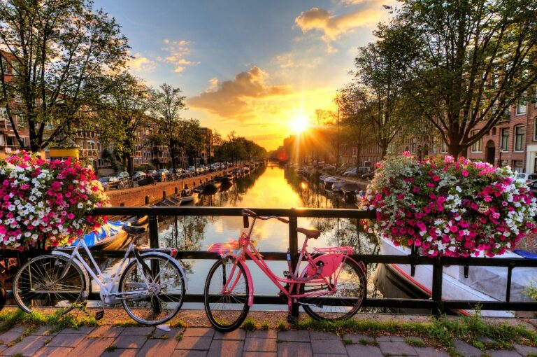 Schöner Sonnenaufgang über Amsterdam, den Niederlanden, mit Blumen