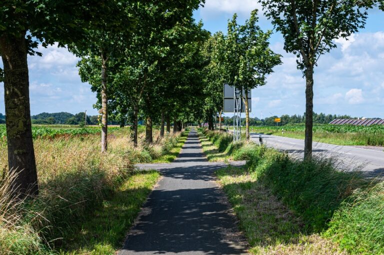 Schattiger Radweg in Landidylle in Bad Bentheim