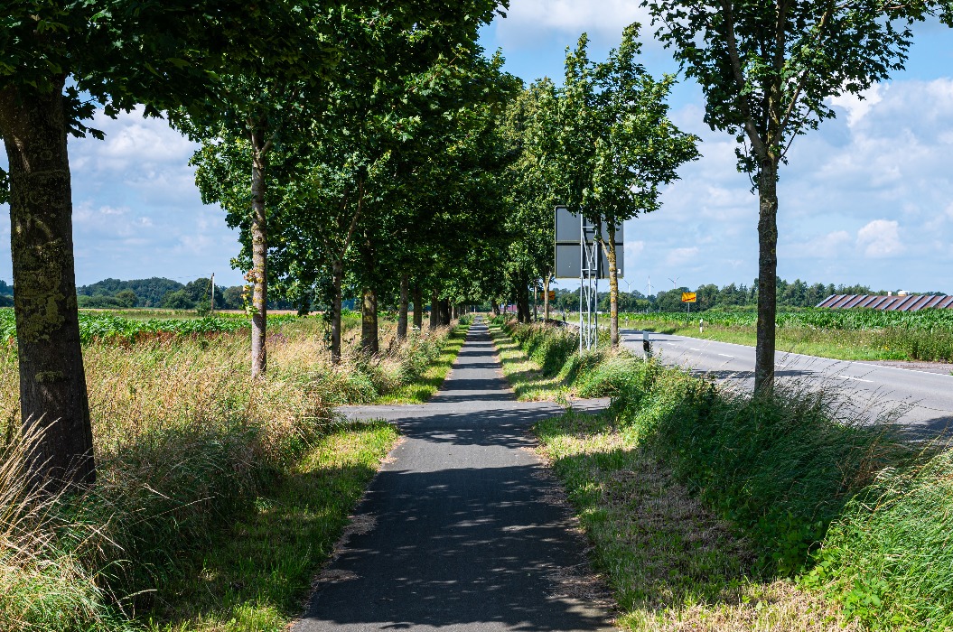 Asphaltierter Radweg in der Landschaft um Bentheim.